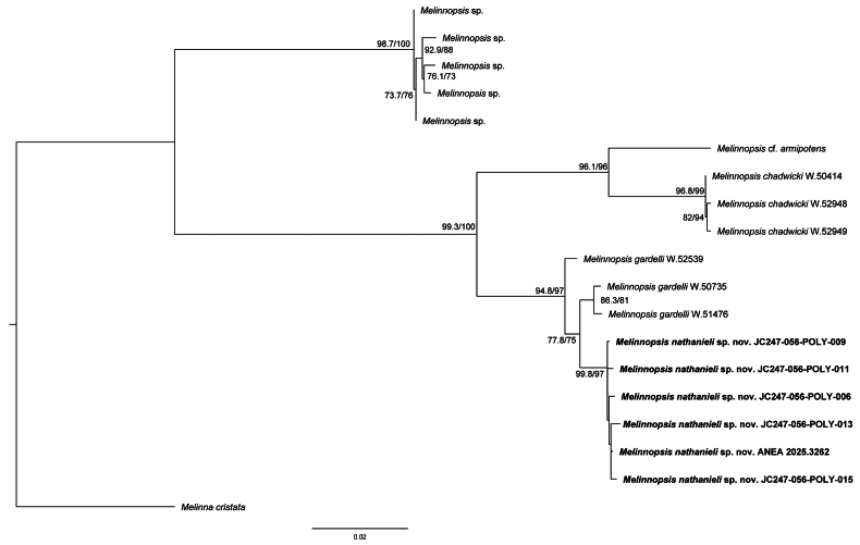 Figure 2