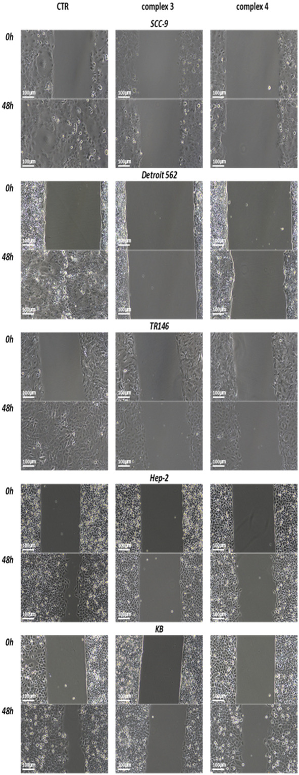 Figure 6