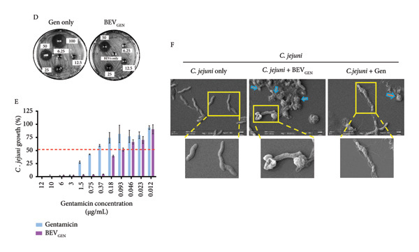 Figure 14