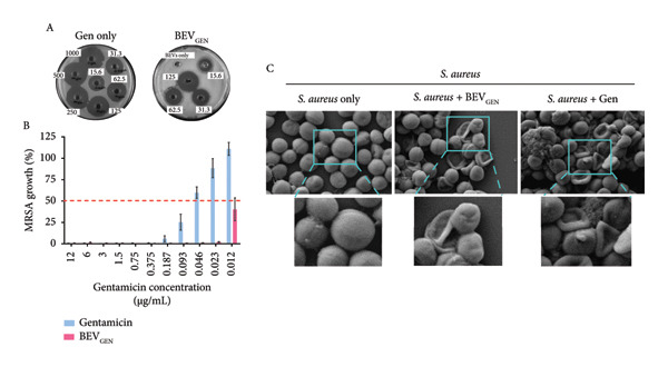 Figure 15