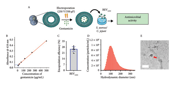 Figure 16