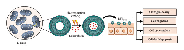 Figure 19