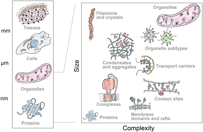 Figure 1