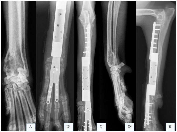 Figure 5