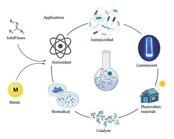 Figure 12