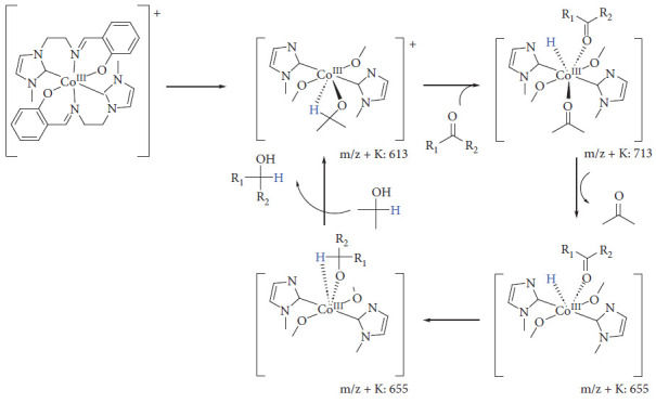 Figure 13