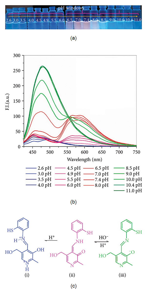 Figure 21