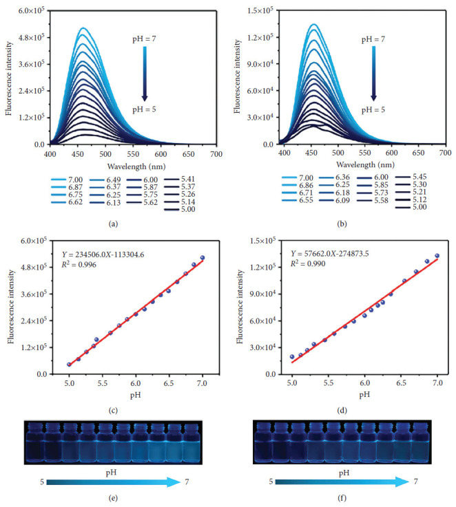 Figure 24