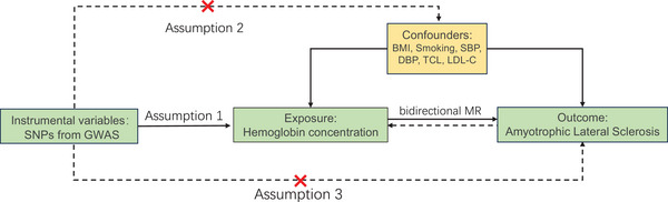 FIGURE 1
