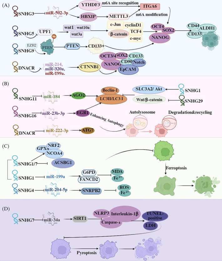 FIGURE 4