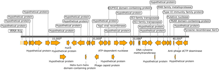 Fig 4