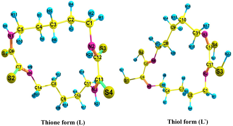Fig 6
