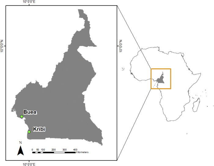 Fig 1
