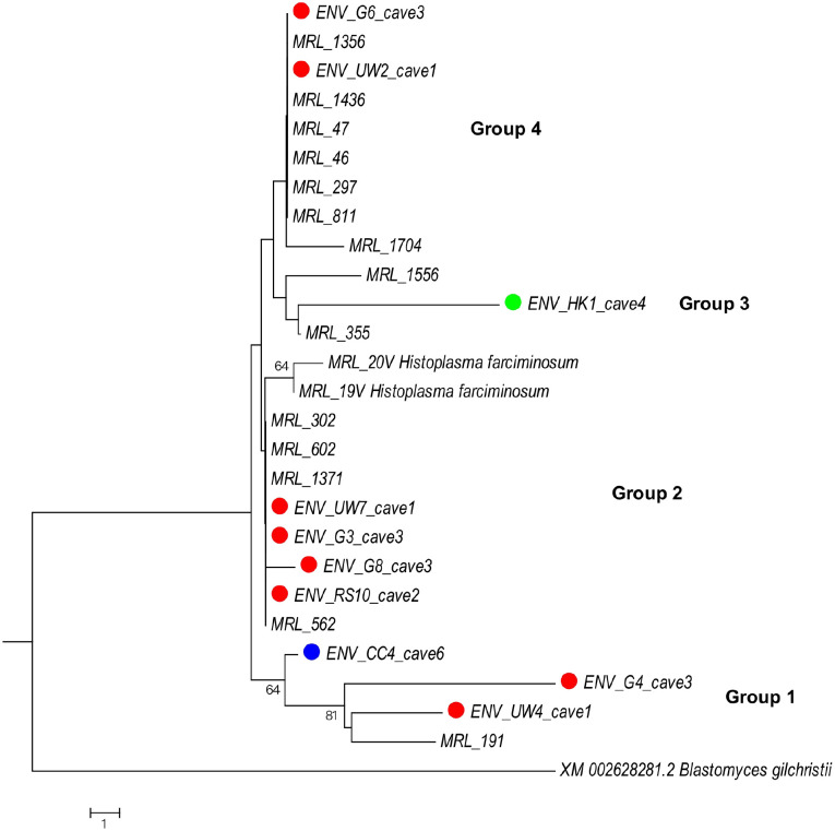 Fig 2