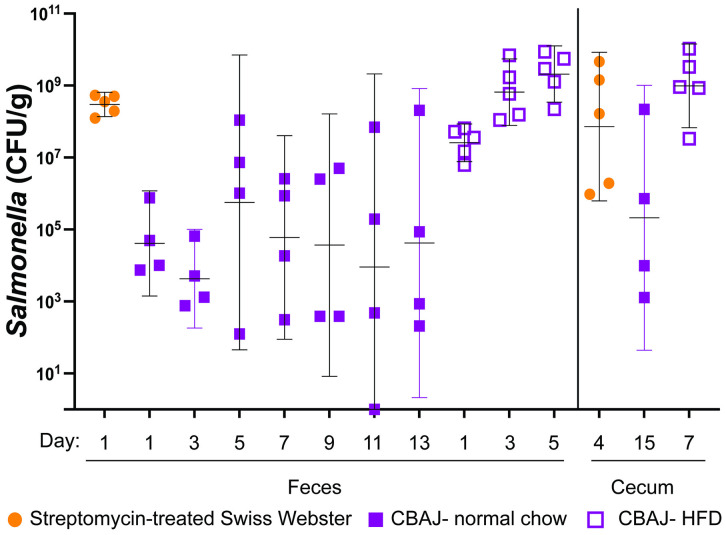 Fig 6