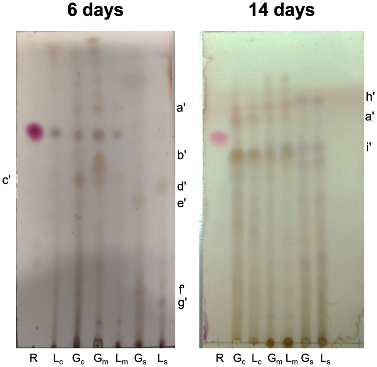 Fig 3