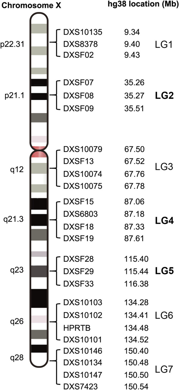 FIGURE 2
