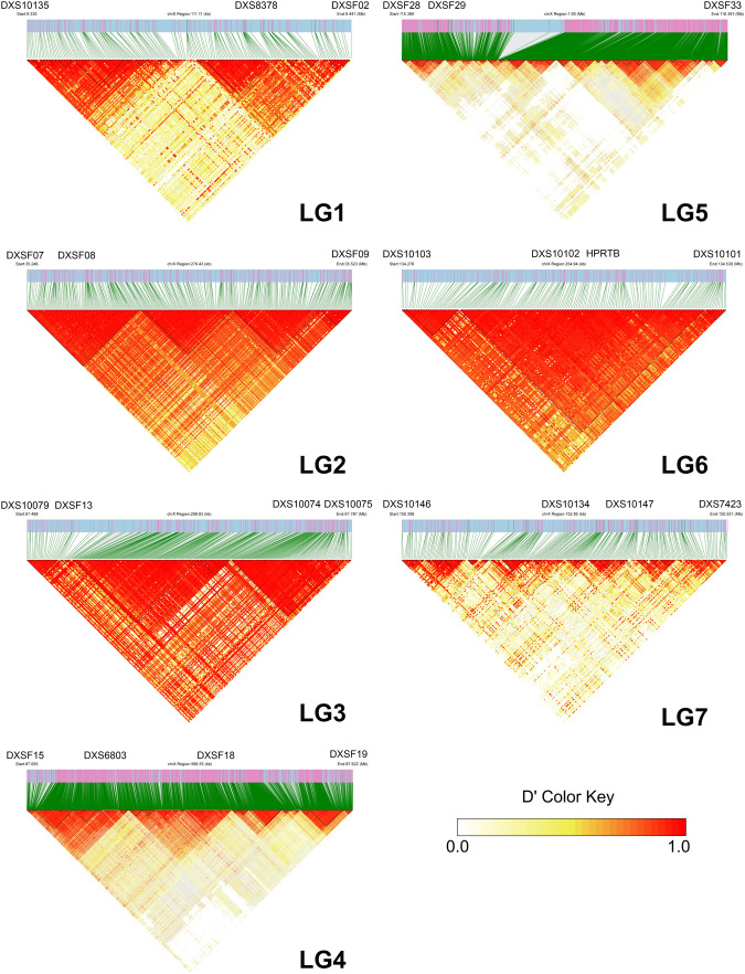 FIGURE 3