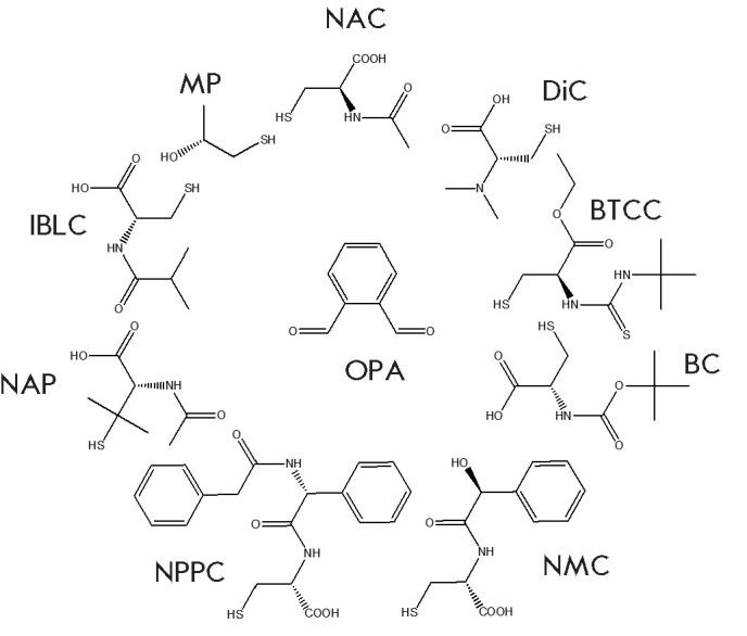 Fig. 2