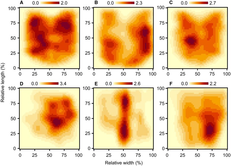 Fig. 3