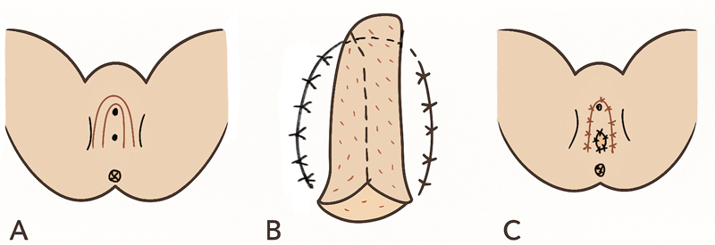 Fig. 8