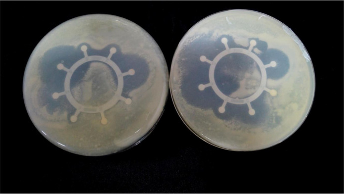 Figure 6