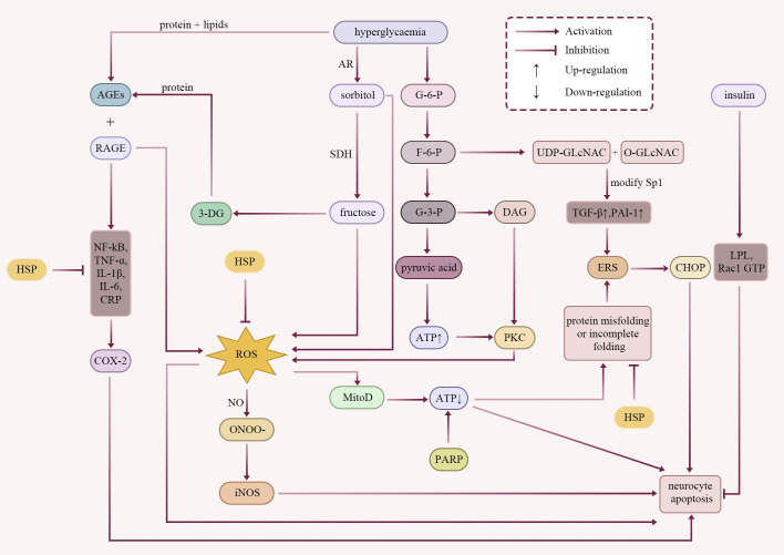 Figure 1
