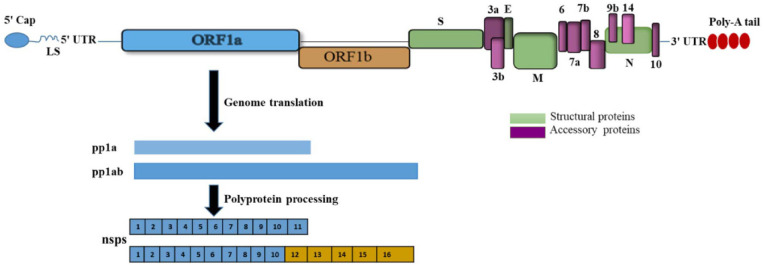 Figure 2