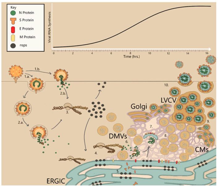 Figure 3
