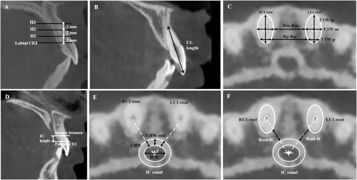 FIGURE 1