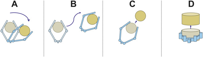 FIGURE 5