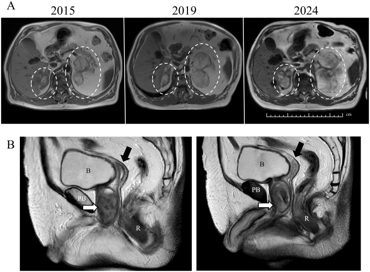 Figure 1