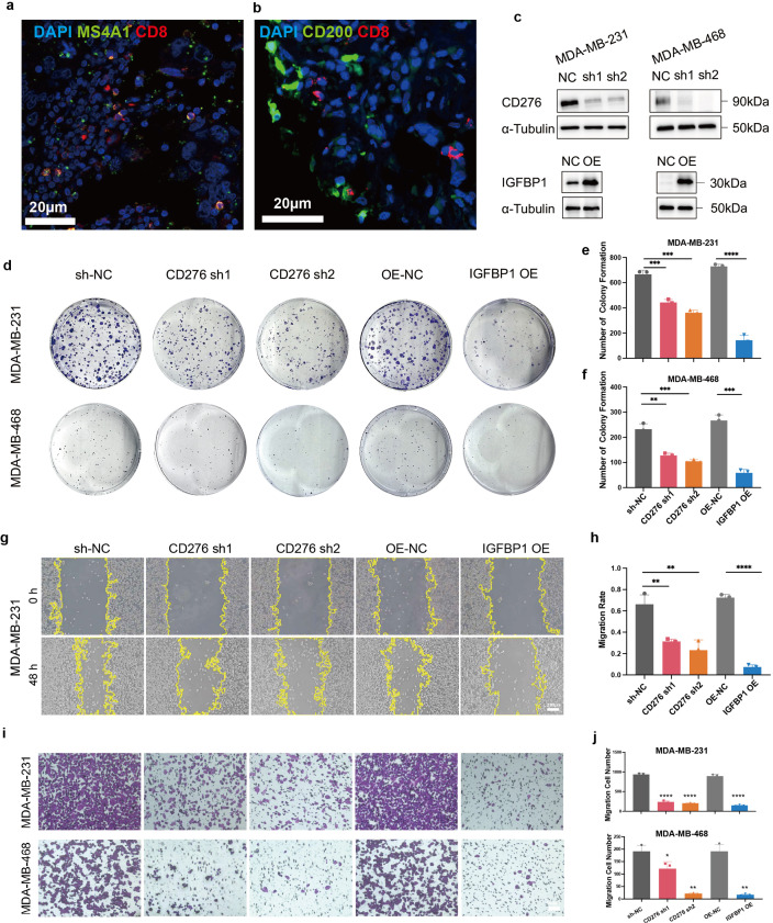 Figure 9