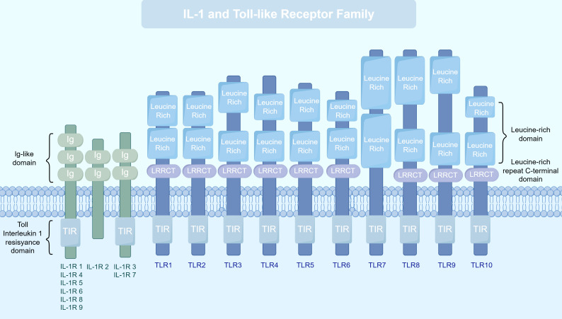 Figure 1