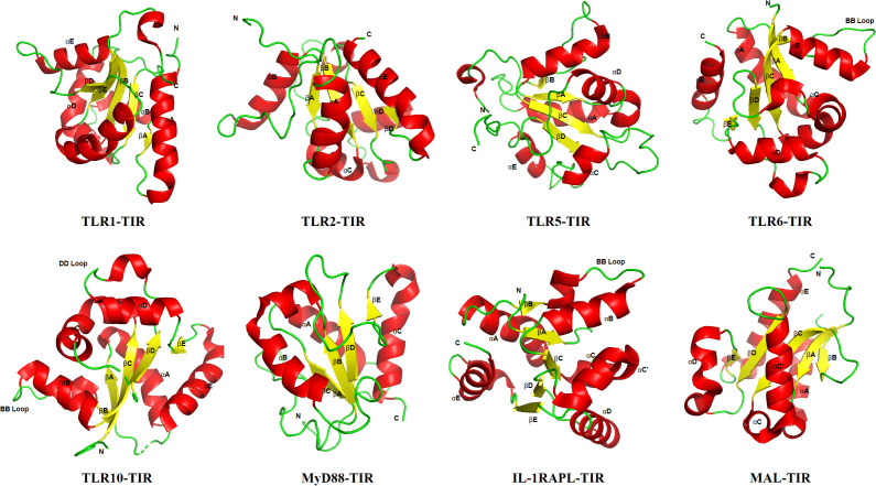 Figure 2