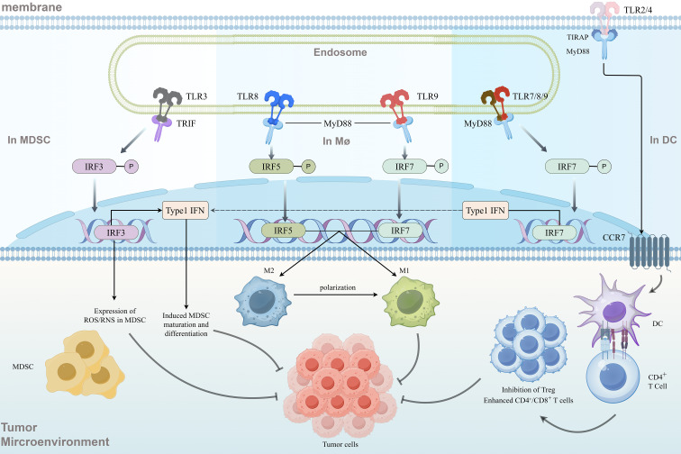 Figure 4