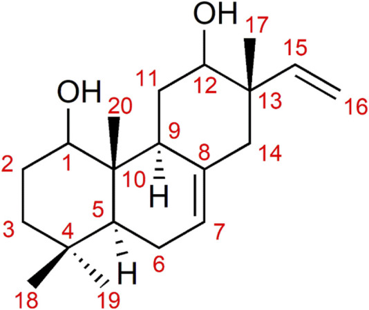 FIGURE 2