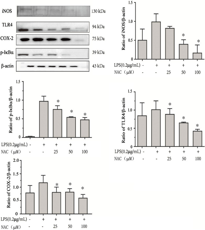 FIGURE 11