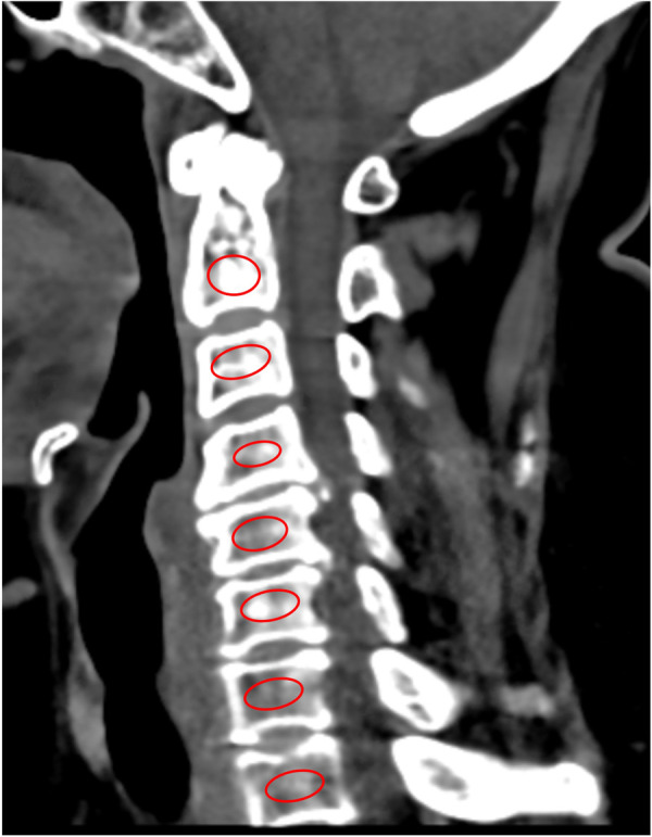 Figure 1