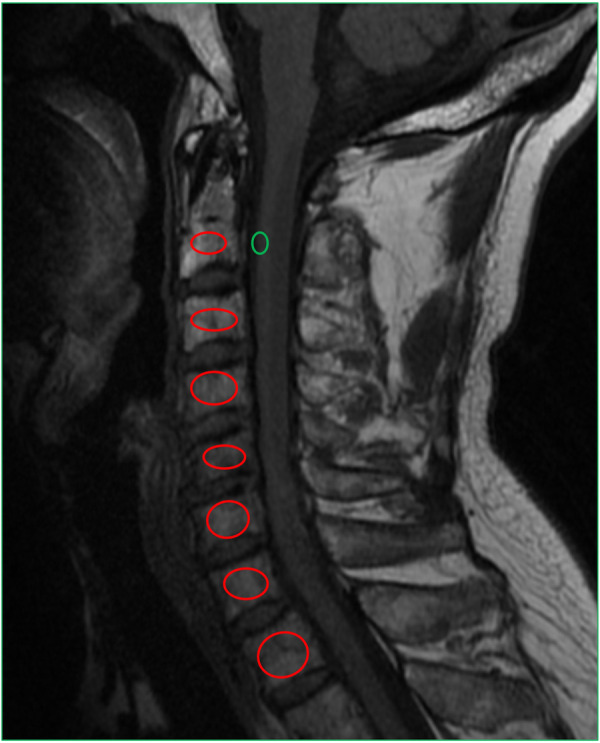 Figure 2