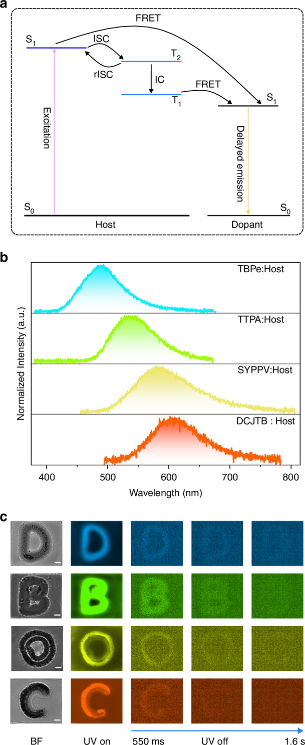 Figure 5