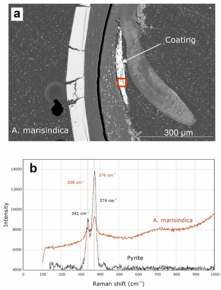 Figure 12