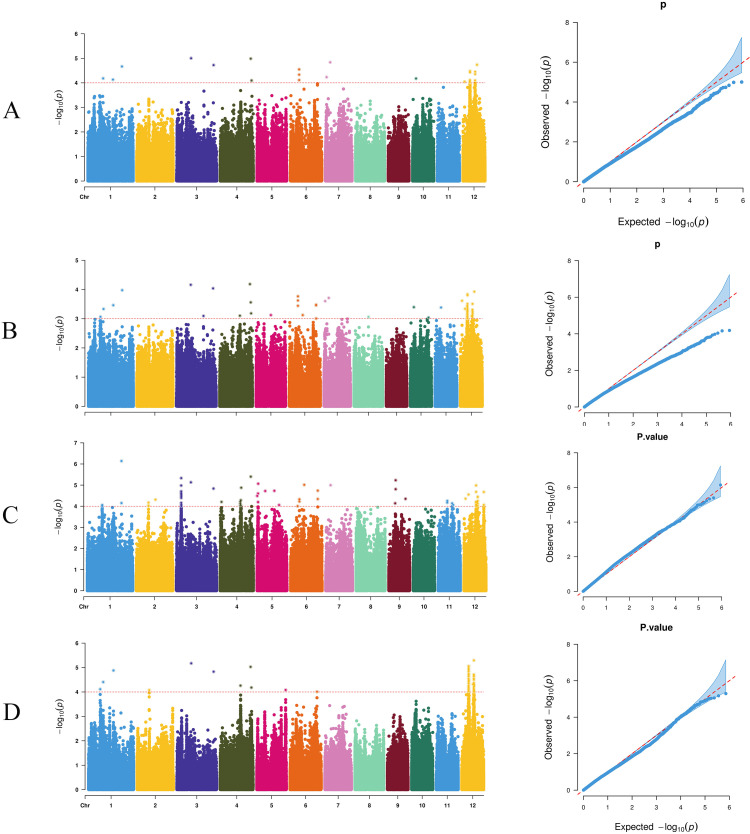Figure 4