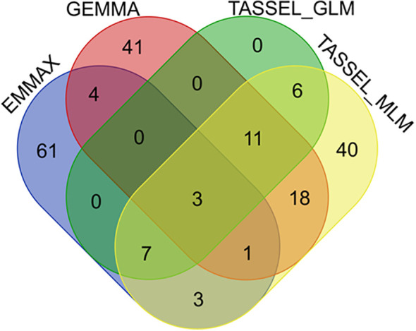Figure 5