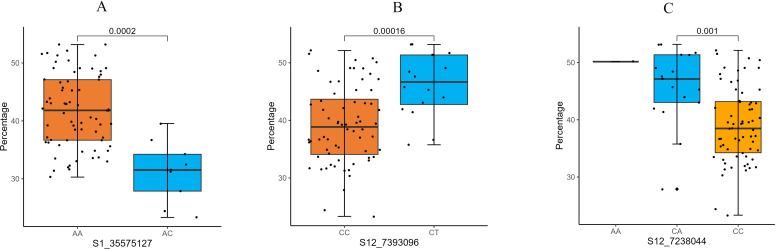 Figure 6
