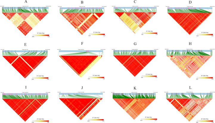 Figure 7
