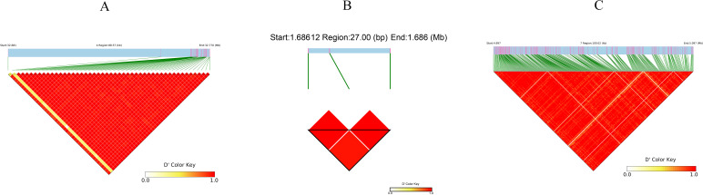 Figure 8