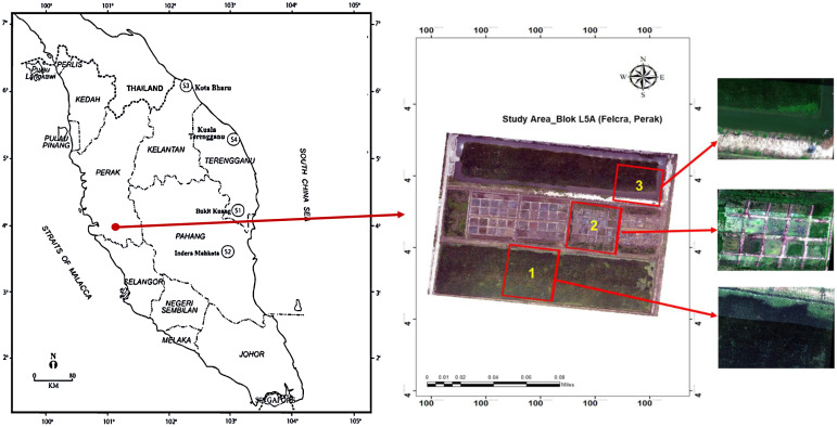 Figure 1