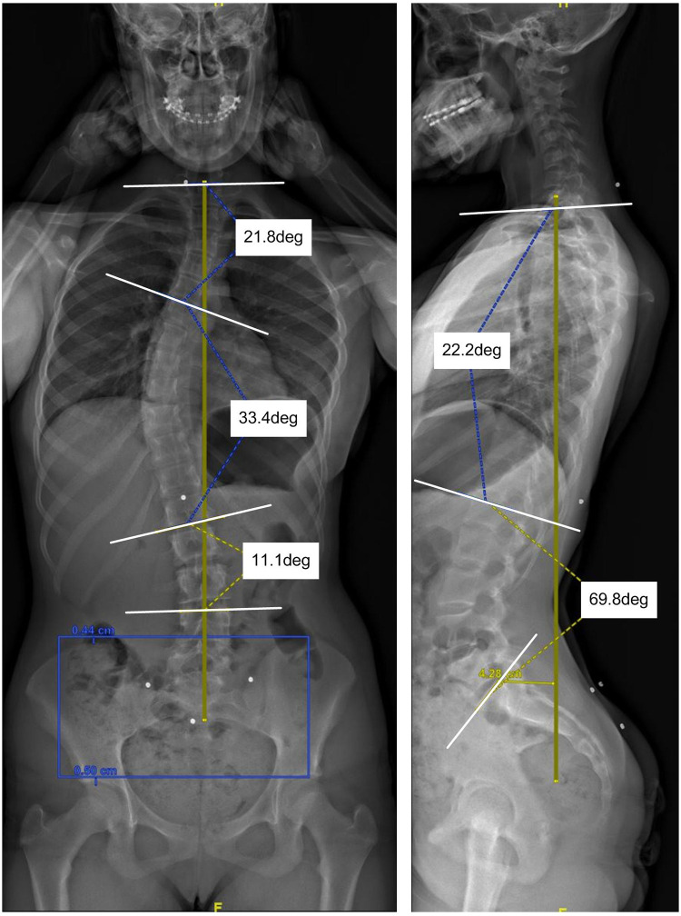 Figure 1
