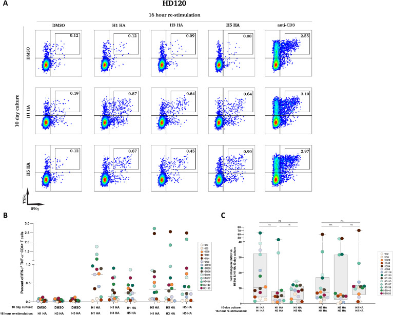 Figure 4